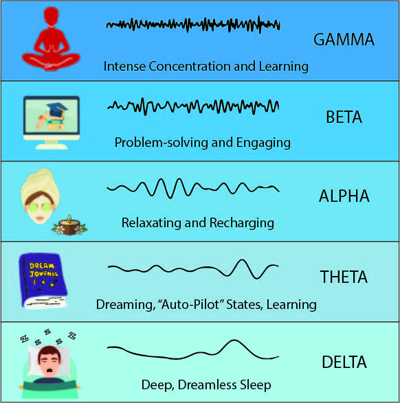 infographic on brainwaves