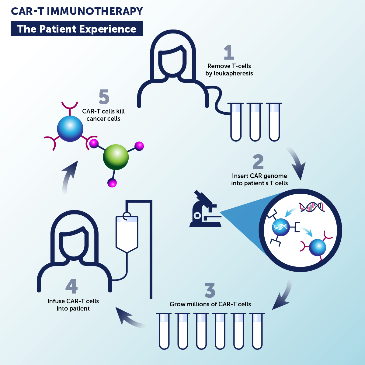 Infographic how does CAR-T work