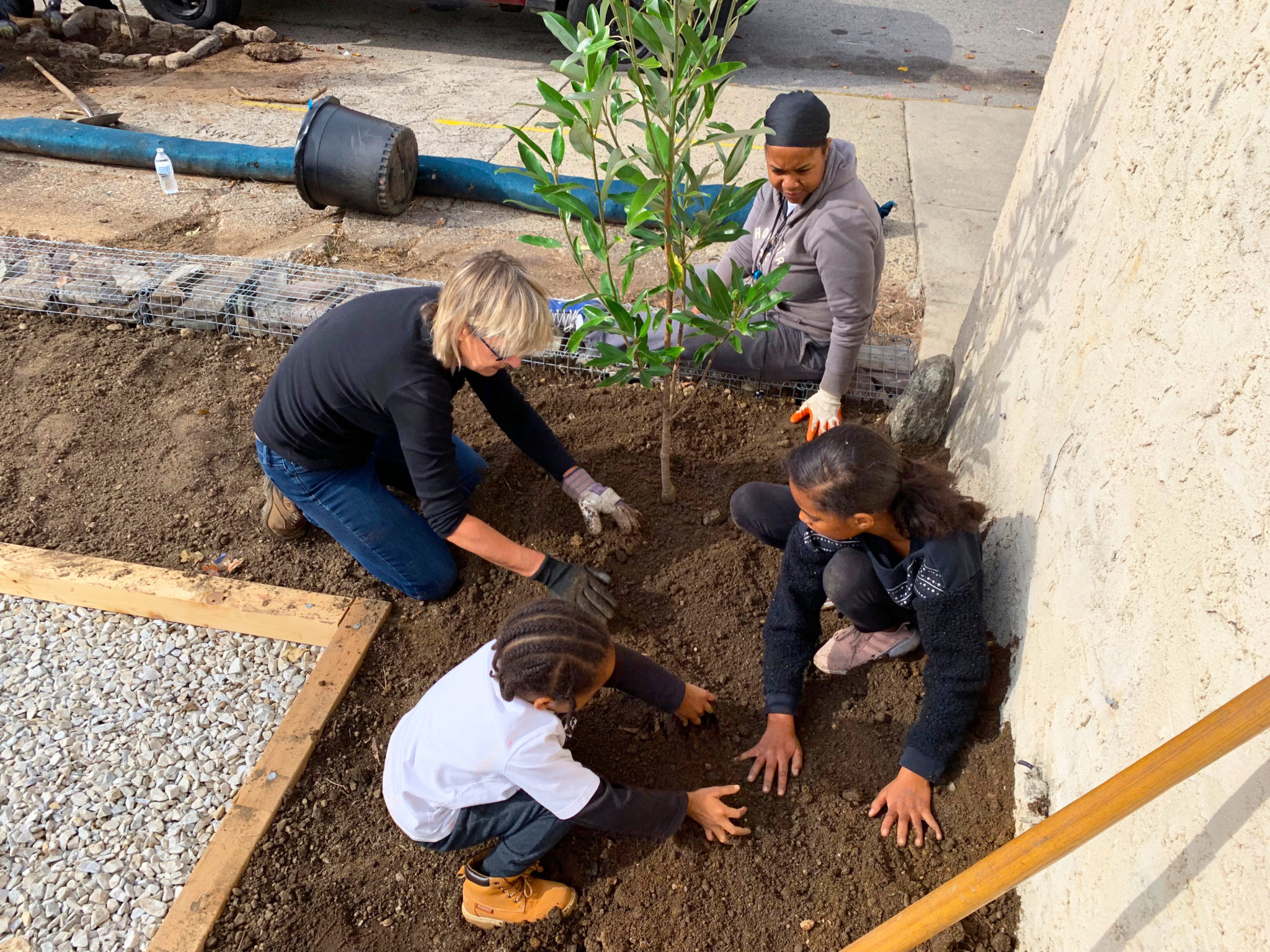 A team planting a tree for Park in a Truck