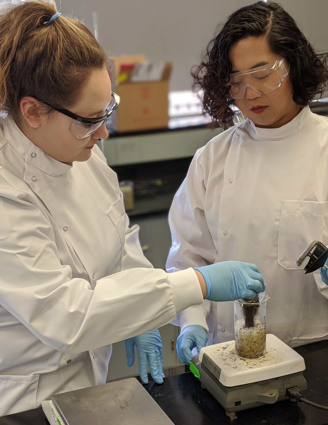 Student Meghan Grim and chemistry professor Dr. Niny Rao work in the lab