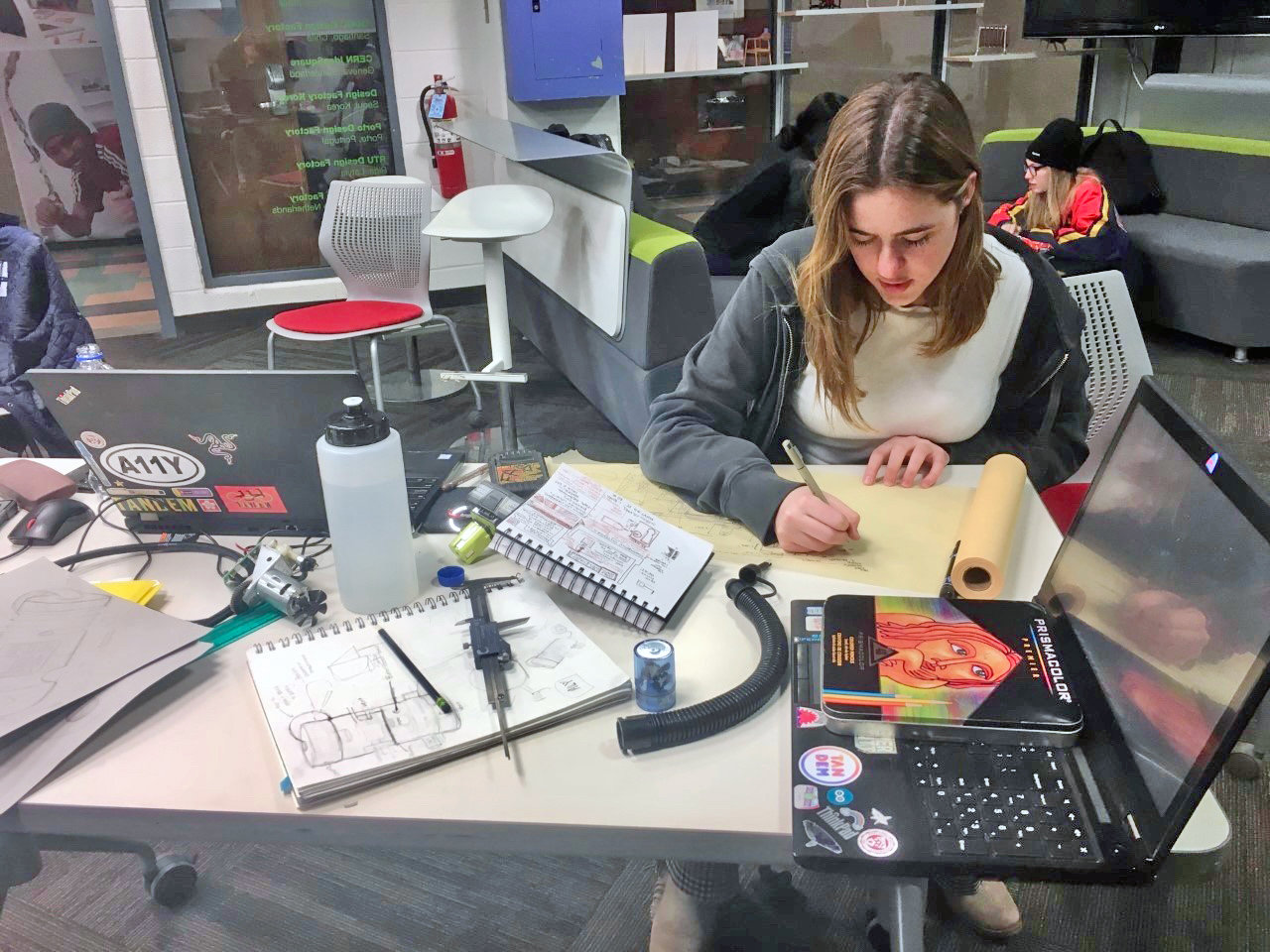 Alexandra Grant working at a desk.